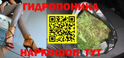 гидра Рузаевка