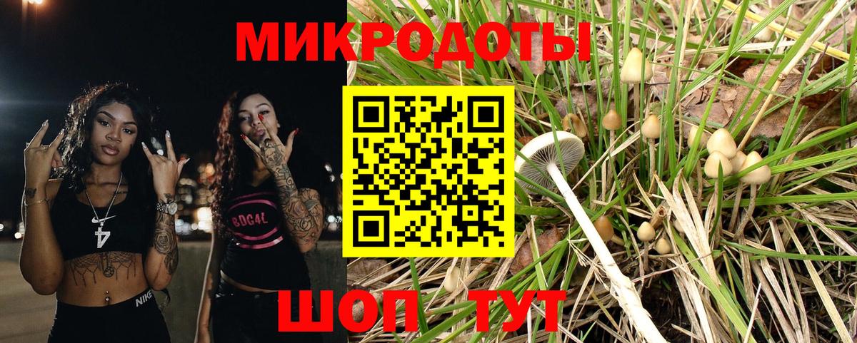 Псилоцибиновые грибы Cubensis  купить наркоту  Тамбов  Вход с VPN 